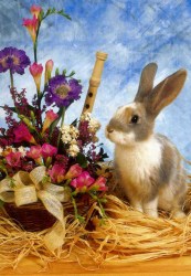 Veľkonočná pohľadnica č.22 Zajko strakatý s kvetmi
